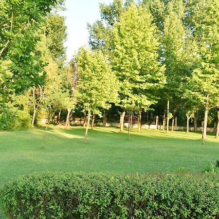 פרימורסקו Les Magnolias Hotel מראה חיצוני תמונה